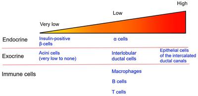 The Potential Causes of Cystic Fibrosis-Related Diabetes